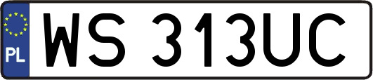 WS313UC