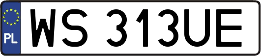 WS313UE