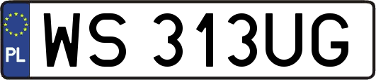 WS313UG