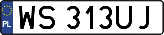 WS313UJ