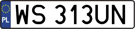 WS313UN