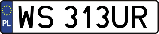 WS313UR