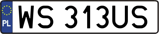 WS313US