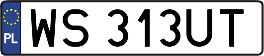WS313UT