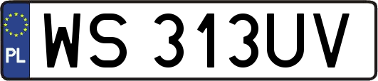 WS313UV