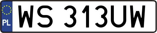 WS313UW