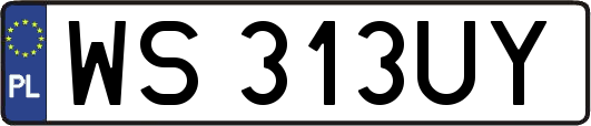 WS313UY