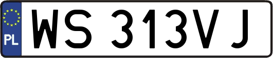 WS313VJ