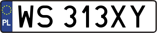 WS313XY