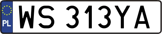 WS313YA