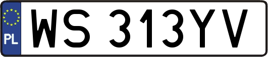 WS313YV