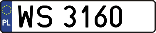 WS3160