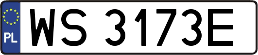 WS3173E