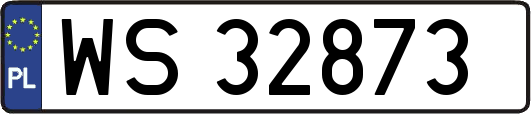 WS32873