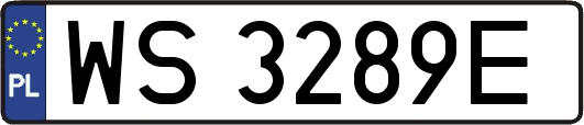 WS3289E