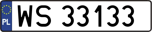 WS33133