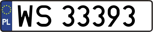 WS33393