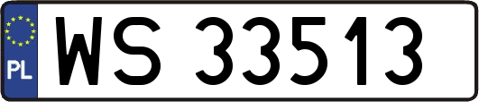 WS33513