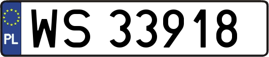 WS33918