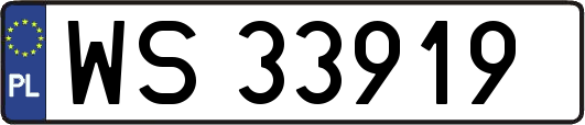 WS33919