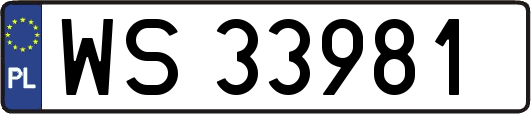 WS33981