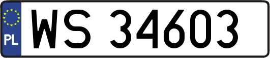 WS34603