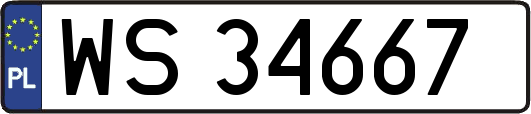 WS34667