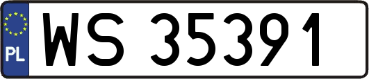 WS35391