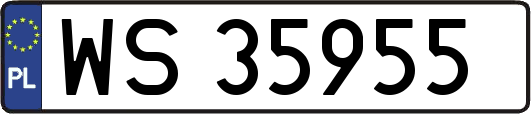 WS35955