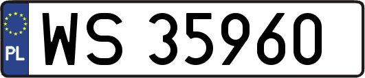 WS35960