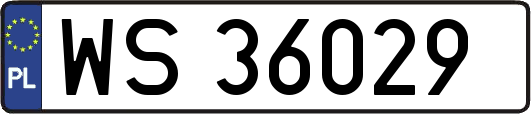 WS36029
