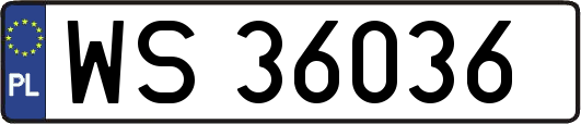 WS36036