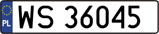 WS36045