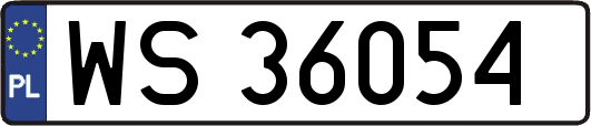 WS36054