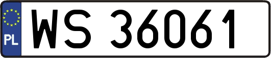 WS36061