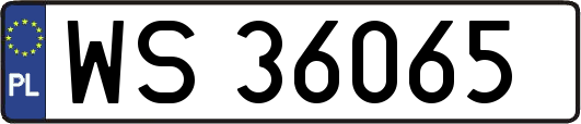 WS36065