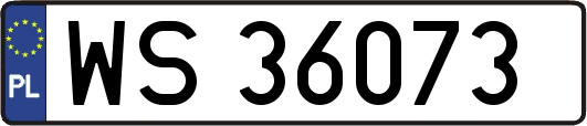 WS36073