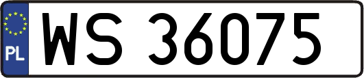 WS36075