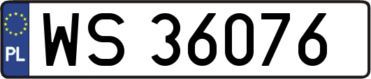 WS36076