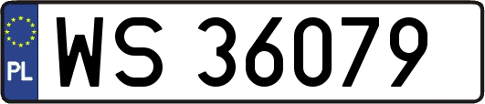 WS36079