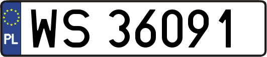 WS36091