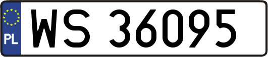 WS36095