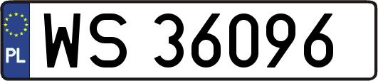 WS36096