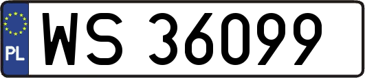 WS36099