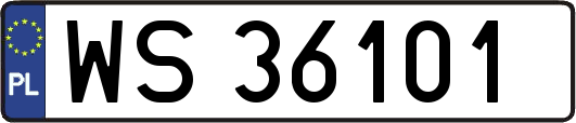 WS36101
