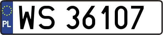 WS36107