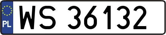 WS36132