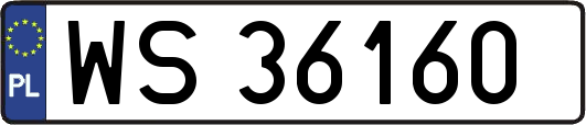 WS36160