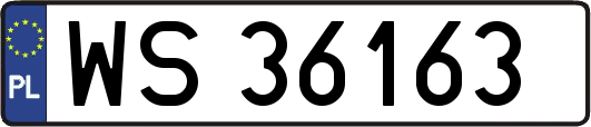 WS36163