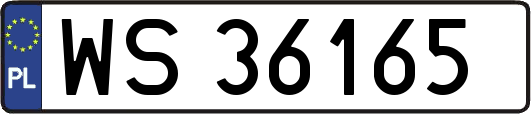 WS36165